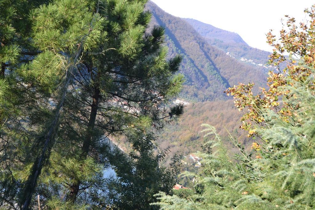Toscana Nord Ovest - Tra La Costa Apartments Albiano Magra Luaran gambar